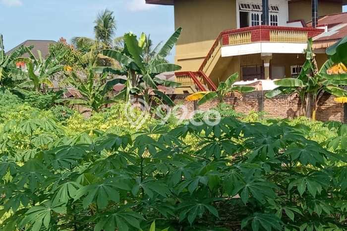 Kavling Tanah di Bukit Raya Dijual Luas 1870m2 Legalitas SHM Kavling Tanah di Bukit Raya Dijual Luas 1870m2 Legalitas SHM