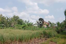 Tanah Siap Bangun Dijual di Pekanbaru Punya Luas 800m2 Tanah Siap Bangun Dijual di Pekanbaru Punya Luas 800m2
