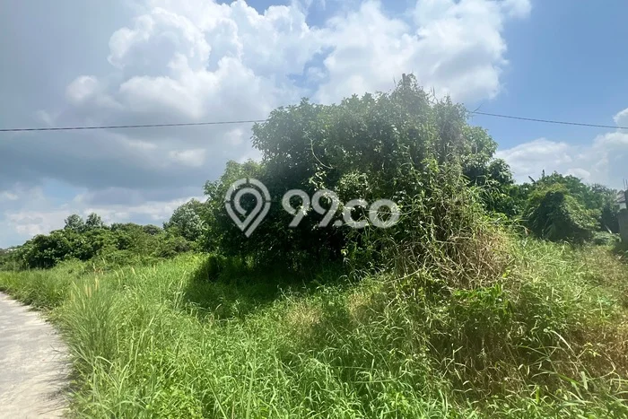Tanah Dijual di Pekanbaru Seluas 1784m2 Strategis Tanah Dijual di Pekanbaru Seluas 1784m2 Strategis