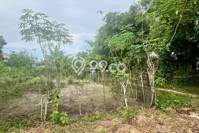 Dijual Tanah Lokasi Kubang, Pekanbaru Seluas 762m2 Dijual Tanah Lokasi Kubang, Pekanbaru Seluas 762m2