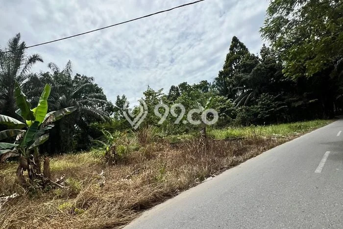 Tanah di Siak Hulu, Kampar Luas 1920m2 Dijual Segera Tanah di Siak Hulu, Kampar Luas 1920m2 Dijual Segera