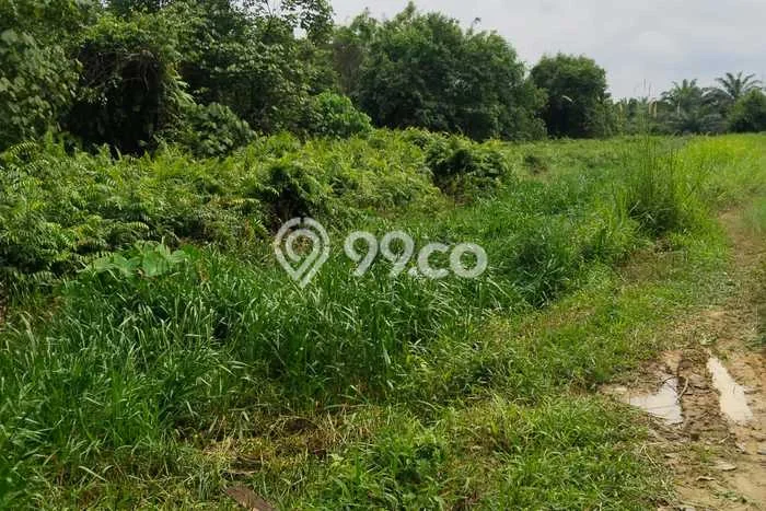 LOKASI STRATEGIS! Tanah di Bukit Raya, Luas 10000m², Kawasan Berkembang, Cocok untuk Investasi LOKASI STRATEGIS! Tanah di Bukit Raya, Luas 10000m², Kawasan Berkembang, Cocok untuk Investasi