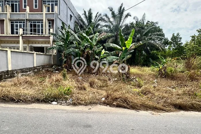 Tanah di Siak Hulu, Kampar Luas 1920m2 Dijual Segera Tanah di Siak Hulu, Kampar Luas 1920m2 Dijual Segera