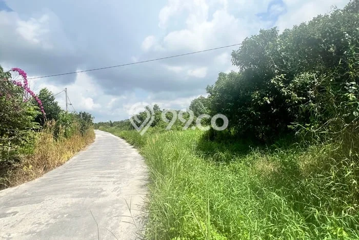 Tanah Dijual di Pekanbaru Seluas 1784m2 Strategis Tanah Dijual di Pekanbaru Seluas 1784m2 Strategis