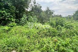 Lahan Strategis di Tampan Dijual dengan Luas 300m2 Lahan Strategis di Tampan Dijual dengan Luas 300m2