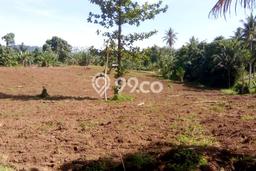 Lahan Dijual Lokasi Talawaan, Minahasa Utara dengan Luas Tanah 230000m2 dan Status SHM Lahan Dijual Lokasi Talawaan, Minahasa Utara dengan Luas Tanah 230000m2 dan Status SHM
