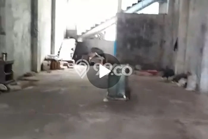 Gudang di Pasar Minggu, Luas 200m², Area Bisnis, For Rent Gudang di Pasar Minggu, Luas 200m², Area Bisnis, For Rent