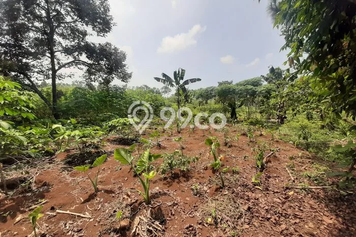 Kavling Tanah untuk Dijual di Purwakarta Kota, Purwakarta, Luas 19725m2 Kavling Tanah untuk Dijual di Purwakarta Kota, Purwakarta, Luas 19725m2