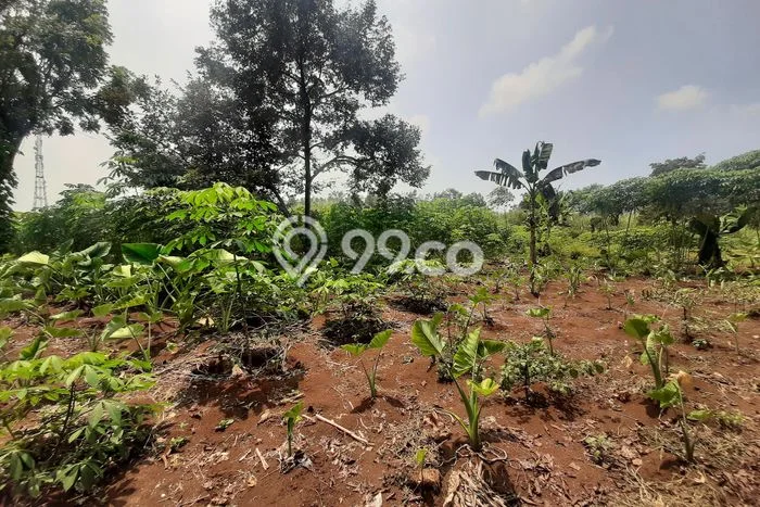 Kavling Tanah untuk Dijual di Purwakarta Kota, Purwakarta, Luas 19725m2 Kavling Tanah untuk Dijual di Purwakarta Kota, Purwakarta, Luas 19725m2