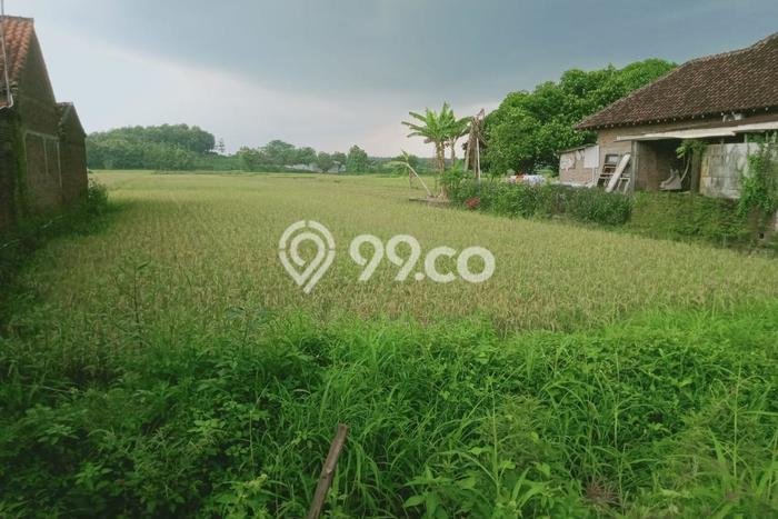 Tanah Investasi Dijual di Boyolali Punya Luas 2560m2 Tanah Investasi Dijual di Boyolali Punya Luas 2560m2
