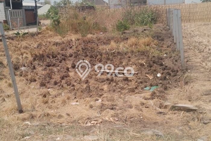 Kavling Tanah Dijual di Gondangrejo Karanganyar Spesifikasi 321m2 Kavling Tanah Dijual di Gondangrejo Karanganyar Spesifikasi 321m2
