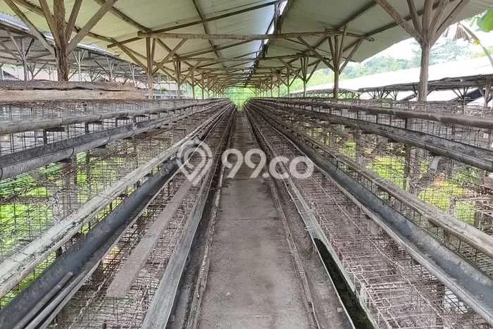 Tanah untuk Dijual Lokasi Mojolaban, Sukoharjo Luas 17371m2 SHM Tanah untuk Dijual Lokasi Mojolaban, Sukoharjo Luas 17371m2 SHM