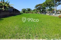 Tanah di Grogol, Solo Luas 1585m2 Dijual Segera Tanah di Grogol, Solo Luas 1585m2 Dijual Segera