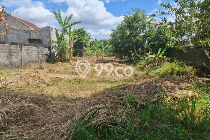 Tanah Kavling Dijual di Karanganyar dengan Spesifikasi 744m2 Tanah Kavling Dijual di Karanganyar dengan Spesifikasi 744m2