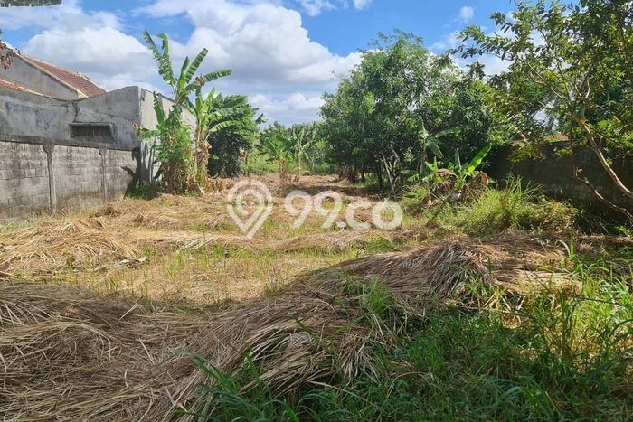 Tanah Kavling Dijual di Karanganyar dengan Spesifikasi 744m2 Tanah Kavling Dijual di Karanganyar dengan Spesifikasi 744m2
