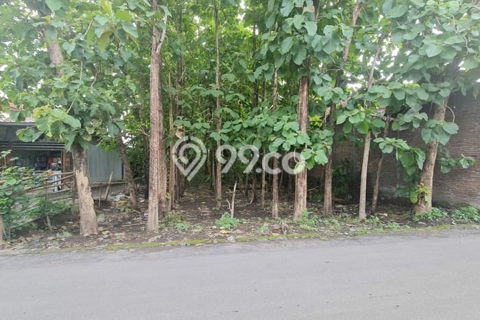 Untuk Dijual Tanah 855m2 di Klodran, Karanganyar Untuk Dijual Tanah 855m2 di Klodran, Karanganyar