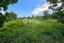 Lahan Investasi Lokasi Karanganyar Karanganyar SHM Lahan Investasi Lokasi Karanganyar Karanganyar SHM