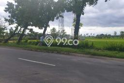 Jarang Ada! Tanah di Mojolaban Punya Luas 1789m2 SHM Jarang Ada! Tanah di Mojolaban Punya Luas 1789m2 SHM