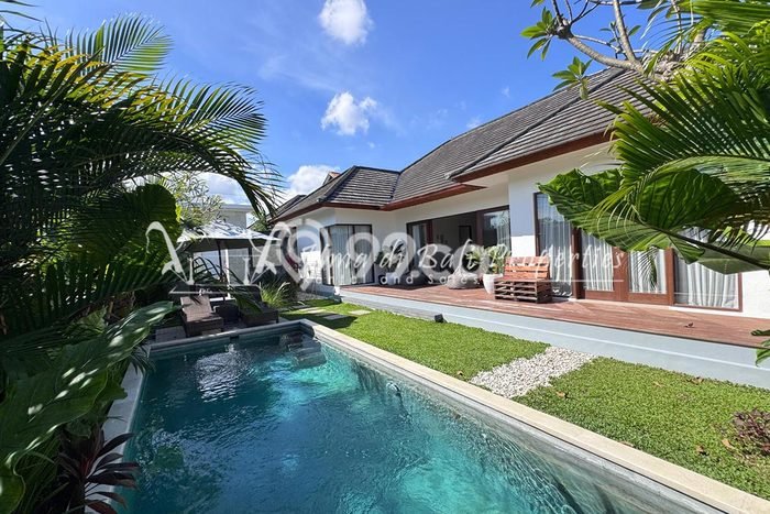 Jarang Ada! Rumah Kontrakan 3 Kamar Bagus Siap Huni Umalas Jarang Ada! Rumah Kontrakan 3 Kamar Bagus Siap Huni Umalas