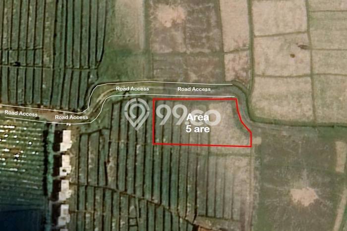 Tanah Disewa Strategis di Badung Luas 500m2 Tanah Disewa Strategis di Badung Luas 500m2
