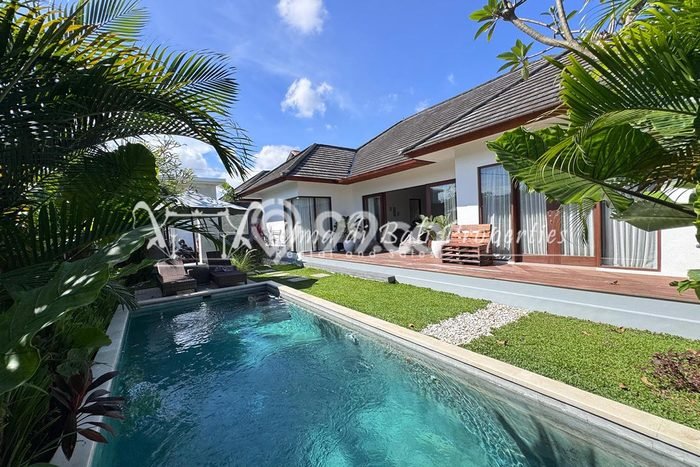 Jarang Ada! Rumah Kontrakan 3 Kamar Bagus Siap Huni Umalas Jarang Ada! Rumah Kontrakan 3 Kamar Bagus Siap Huni Umalas
