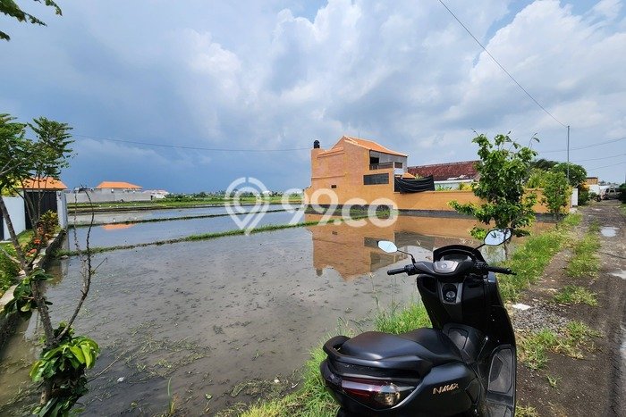 Tanah Disewa di Cemagi Strategis dan Memiliki Luas 580m2 Tanah Disewa di Cemagi Strategis dan Memiliki Luas 580m2