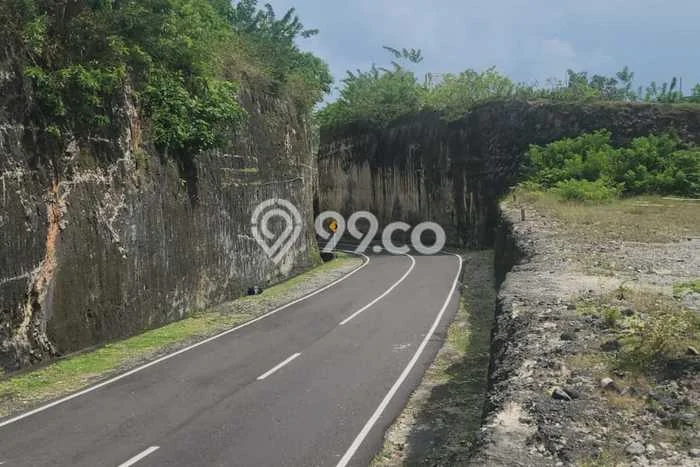 Jarang Ada! Tanah Kavling Disewakan di Badung 550m2 Jarang Ada! Tanah Kavling Disewakan di Badung 550m2