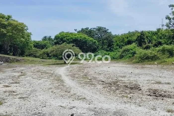 Jarang Ada! Tanah Kavling Disewakan di Badung 550m2 Jarang Ada! Tanah Kavling Disewakan di Badung 550m2