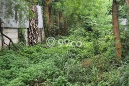 Tanah Dijual di Jakarta Selatan Seluas 1000m2 Strategis Tanah Dijual di Jakarta Selatan Seluas 1000m2 Strategis