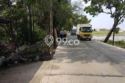 Tanah Kavling Dijual di Rorotan, Jakarta Utara dengan Luas Tanah 6065m2 Tanah Kavling Dijual di Rorotan, Jakarta Utara dengan Luas Tanah 6065m2