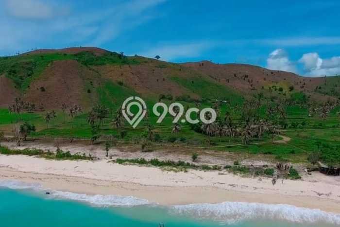 LOKASI PREMIUM! Tanah Kawasan Sekotong Tengah, Luas 49500m², Ideal untuk Investasi LOKASI PREMIUM! Tanah Kawasan Sekotong Tengah, Luas 49500m², Ideal untuk Investasi