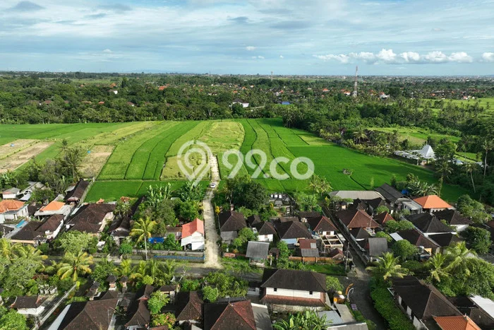HOT DEAL! Tanah di Kaba kaba, Luas 4900m², Lokasi Premium HOT DEAL! Tanah di Kaba kaba, Luas 4900m², Lokasi Premium