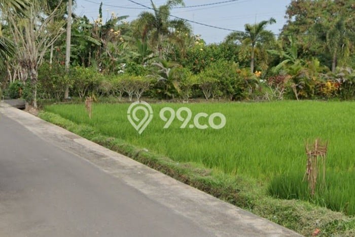 Tanah Area Potensial di Buwit, Luas 1137m², Lingkungan Asri, Akses Buwit, Tabanan, Tabanan Tanah Area Potensial di Buwit, Luas 1137m², Lingkungan Asri, Akses Buwit, Tabanan, Tabanan
