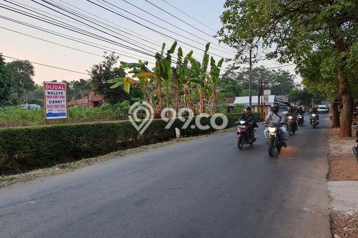 Kavling Tanah untuk Dijual di Kedung Pane, Semarang, Luas 6813m2 Kavling Tanah untuk Dijual di Kedung Pane, Semarang, Luas 6813m2