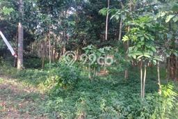 Kavling Tanah Dijual di Tembalang Semarang Spesifikasi 1000m2 Kavling Tanah Dijual di Tembalang Semarang Spesifikasi 1000m2