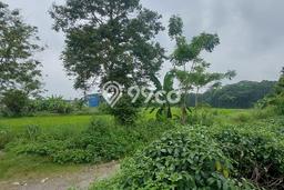Tanah Strategis Dijual di Panongan Tangerang 220000m2 Tanah Strategis Dijual di Panongan Tangerang 220000m2