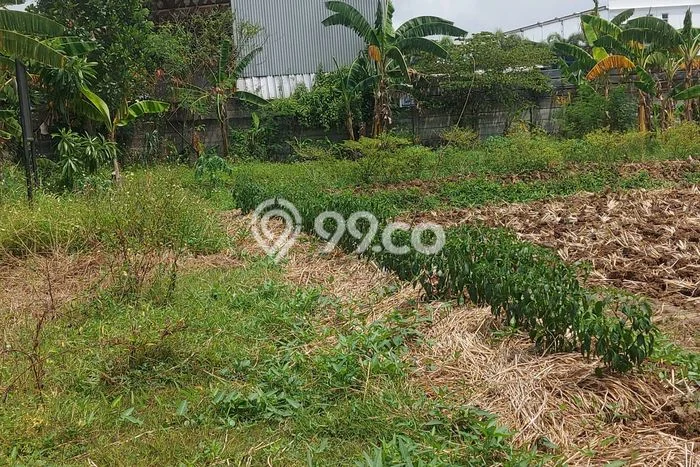 Tanah Siap Bangun Dijual di Tangerang Punya Luas 17260m2 Tanah Siap Bangun Dijual di Tangerang Punya Luas 17260m2