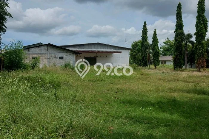 Gudang Disewa di Tangerang dengan LB 5000m2 Area Komersial Ramai Gudang Disewa di Tangerang dengan LB 5000m2 Area Komersial Ramai