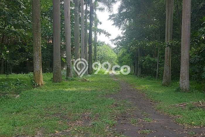 Tanah Dijual Lokasi Strategis di Tangerang dengan Luas 60000m2 Tanah Dijual Lokasi Strategis di Tangerang dengan Luas 60000m2