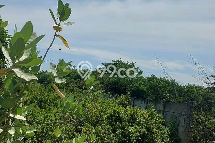 Tanah Dijual di Tangerang Seluas 9252m2 Strategis Tanah Dijual di Tangerang Seluas 9252m2 Strategis