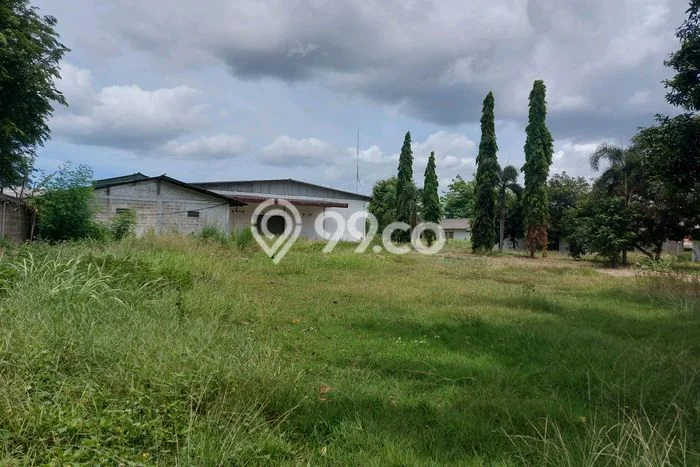Gudang Disewa di Tangerang dengan LB 5000m2 Area Komersial Ramai Gudang Disewa di Tangerang dengan LB 5000m2 Area Komersial Ramai