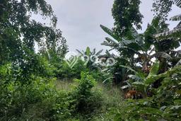 Tanah Kavling untuk Dijual di Pamulang Tangerang Selatan 17655m2 Tanah Kavling untuk Dijual di Pamulang Tangerang Selatan 17655m2
