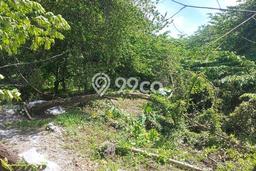 Tanah Kavling di Cikupa Dijual dengan Luas 9282m2 Tanah Kavling di Cikupa Dijual dengan Luas 9282m2