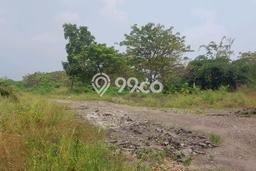 Siap Disewakan Tanah di Neglasari Luas 20000m2 Area Potensial Siap Disewakan Tanah di Neglasari Luas 20000m2 Area Potensial