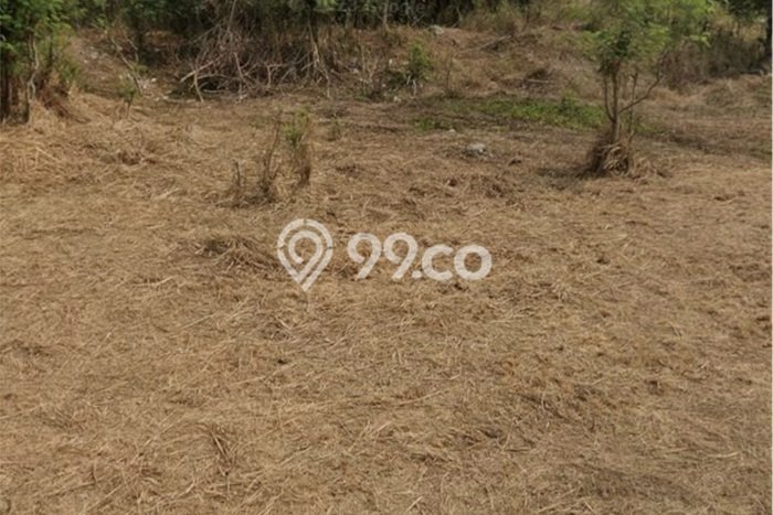 Tanah Disewa di Pantai Indah Kapuk Strategis dan Memiliki Luas 7550m2 Tanah Disewa di Pantai Indah Kapuk Strategis dan Memiliki Luas 7550m2
