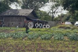 Tanah Kavling Dijual di Dadap, Tangerang dengan Luas Tanah 6500m2 Tanah Kavling Dijual di Dadap, Tangerang dengan Luas Tanah 6500m2