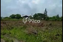 Kavling Tanah Dijual di Widang Tuban Spesifikasi 40000m2 Kavling Tanah Dijual di Widang Tuban Spesifikasi 40000m2