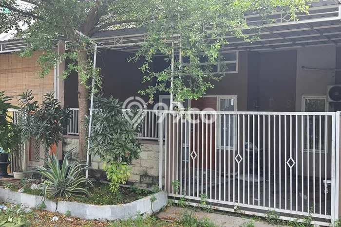 Jual Rumah Siap Huni di Tulangan Sidoarjo Harga Rp 350 Juta LT 90m2 Jual Rumah Siap Huni di Tulangan Sidoarjo Harga Rp 350 Juta LT 90m2