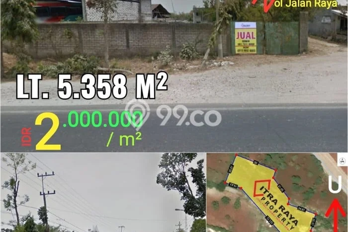 Jarang Ada! Tanah di Paciran Punya Luas 5358m2 SHM Jarang Ada! Tanah di Paciran Punya Luas 5358m2 SHM