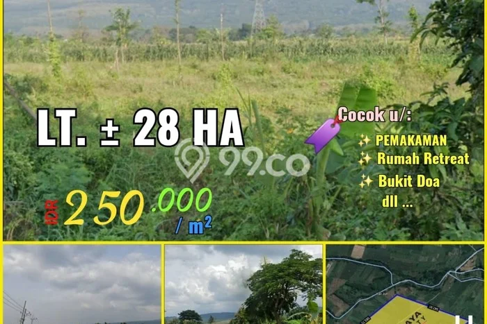 LOKASI PREMIUM! Tanah di Purwosari, Luas 280000m2m², Pinggir Jalan Raya LOKASI PREMIUM! Tanah di Purwosari, Luas 280000m2m², Pinggir Jalan Raya